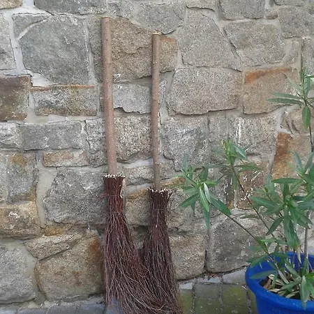 فندق Hotel Stubenberg جيرنروده هارتس