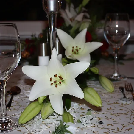 Hotel Stubenberg فندق