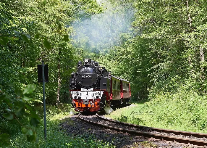 Stubenberg 3* Gernrode (Saxony-Anhalt)